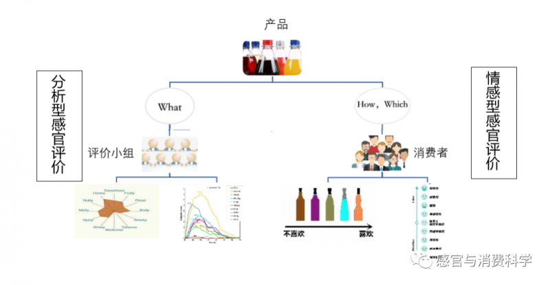 【鐳語感官】李四的結果能代表王五嗎？1