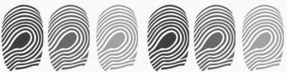 香氣可視化：牛油味型的&ldquo;指紋檢測&rdquo;1