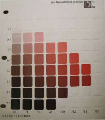 【感官技能】有技巧——感官評價的實用技能