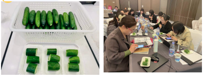 3月感官分析實操培訓班 QDA CATA12