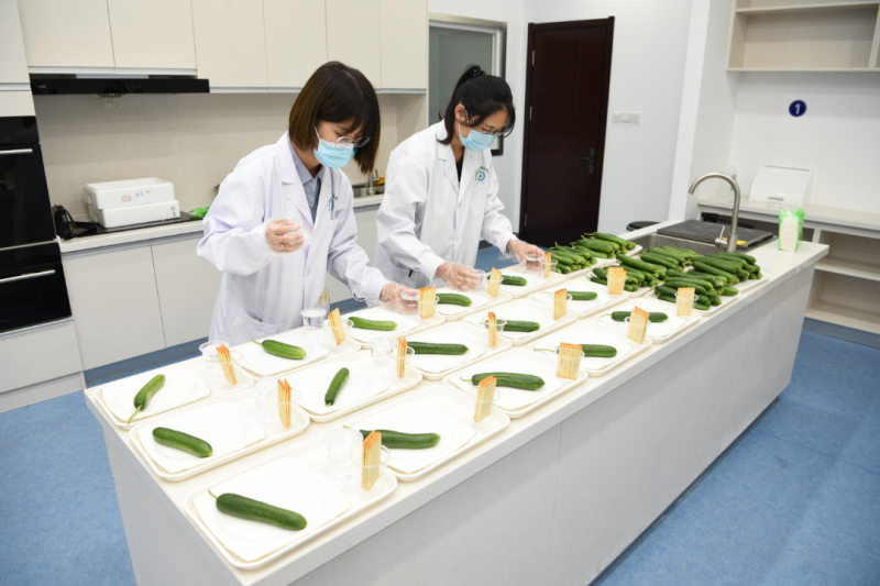 全國蔬菜質量標準中心1