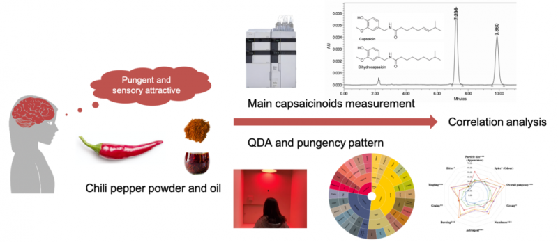 2023感官實踐申報案例展示:基于描述性分析和斯科維爾單位評價7種辣椒粉、油的多維辛辣感和感官特征