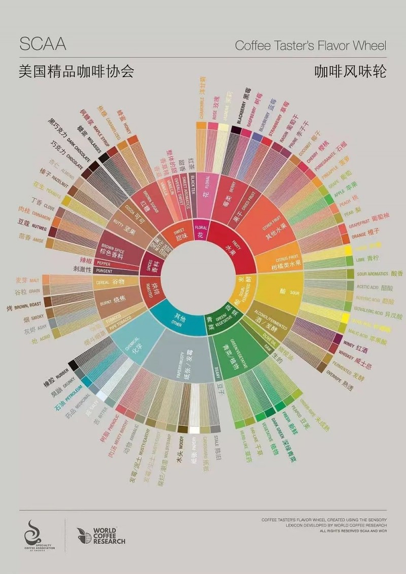 【寵粉福利】帶你了解感官風味輪背景、特點及使用方法1