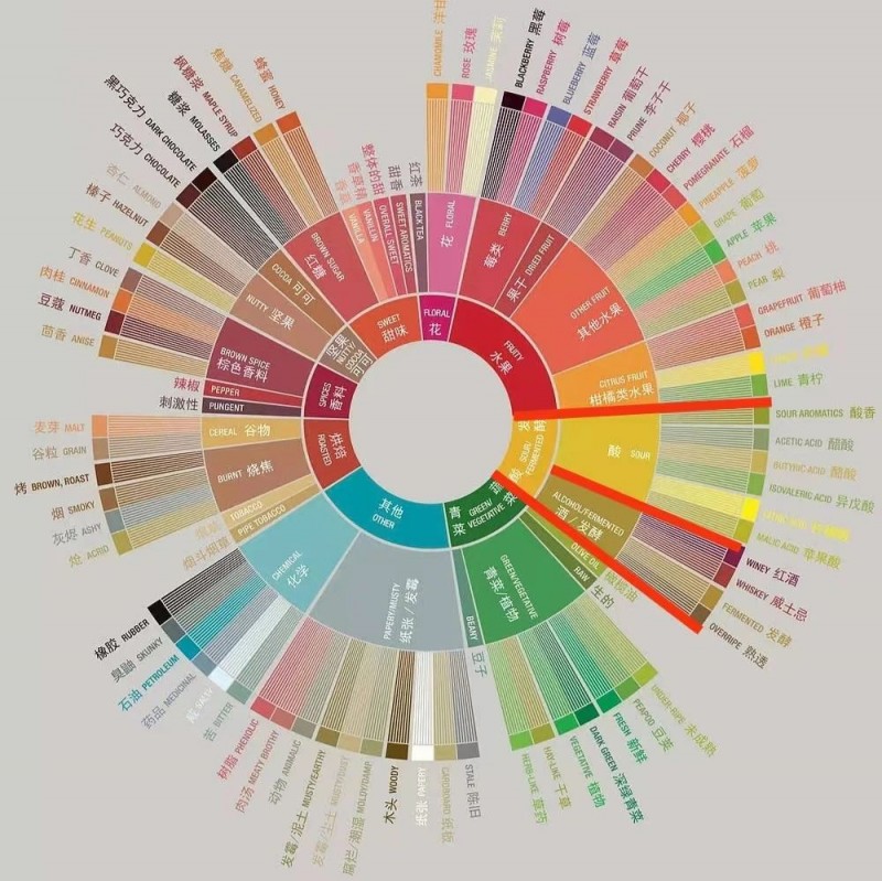 【寵粉福利】帶你了解感官風味輪背景、特點及使用方法5